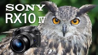 Sony RX10 Mk IV Review Ultimate Fixed Lens Camera [upl. by Tarra289]