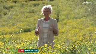 Ruth Dodsworth ITV Weather 26th July 2024 [upl. by Alfons]