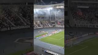 A Força da Torcida do Botafogo Uma Paixão Inabalável [upl. by Berners939]