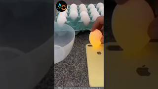 🤯 അവസാനം വരെ നോക്കൂ 💥😱😲  How to find spoiled eggs  shorts facts shortsfeed [upl. by Keverian]