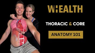 Thoracic amp Core Anatomy 101 shorts [upl. by Haleemaj415]