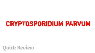 Cryptosporidium parvum  Parasitology  MBBS [upl. by Assirek]