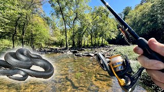 GIANT SNAKE Bites My Lure  Bass Fishing Clear Canyon River [upl. by Hales]