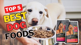 ✅Top 5 Best Dog Foods Review 2023 [upl. by Sheedy]