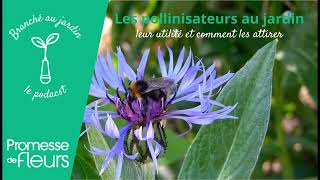 Podcast Branché au jardin  Les pollinisateurs au jardin [upl. by Jolenta]