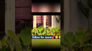 Maheroo maheroo❣️❣️youtubeshorts shortvideo trending shortsfeed [upl. by Bolme739]