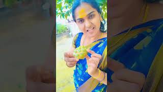 Shilpakala kayam organic in Tamil telusa [upl. by Gamaliel]