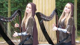 LORD OF THE RINGS Medley  Harp Twins [upl. by Nnairak]