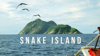 Snake Island  100 Wonders  Atlas Obscura [upl. by Nivlad]