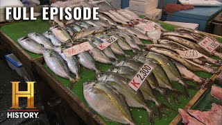 Modern Marvels Shocking Secrets of the Tuna Industry S15 E5  Full Episode [upl. by Gnouhc]