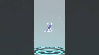 Shiny Popplio Evolution Line in PoGo [upl. by Lazaro460]