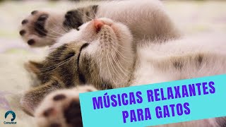 MÚSICA RELAXANTE PARA ACALMAR GATOS [upl. by Siurtemed]