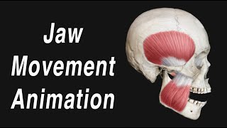 Anatomy of Jaw Motion  TMJ Articular Disc and Muscles [upl. by Kathye]