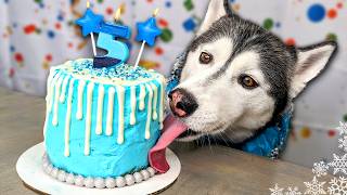 Magical Ice Princess Birthday Cake For Dogs ❄️ DIY Dog Treats [upl. by Thgiwd]