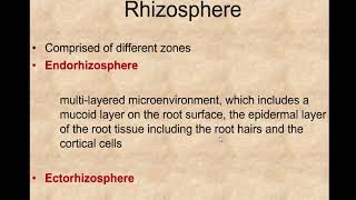 Rhizosphere [upl. by Nalod]