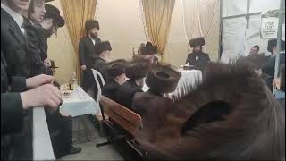 Simchas Beis Hashoeiva with Kapishnitz Rebbe [upl. by Barrada223]