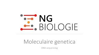 Moleculaire genetica  DNA sequencing  VWO [upl. by Cirdla604]