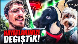 KÖPEKLERİMLE HAYATLARIMIZI DEĞİŞTİK [upl. by Jean-Claude]