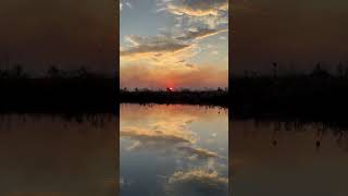 Okavango Delta at Sunset [upl. by Lonny]