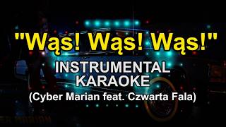 Wąs Wąs Wąs Official instrumental Karaoke  CyberMarian ftKabaret Czwarta Fala [upl. by Lletnohs514]