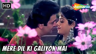 Mere Dil Ki Galiyon Mai  Sridevi Rishi Kapoor Hit Songs  Alka Yagnik Hits  Banjaran Love Hits [upl. by Maisel403]