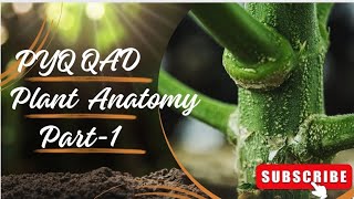 PLANT ANATOMY PYQ QAD II QAD SERIES II PART1 [upl. by Schilling]