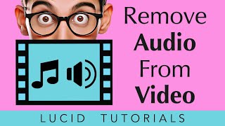 How to Remove Audio from Video on Mac Using QuickTime Player 2024 [upl. by Khan]