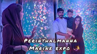 മൽസ്യ കന്യകമാർ നമ്മുടെ അടുത്ത് 🧜‍♀️ MARINE EXPO PERINTHALMANNA marineexpo perinthalmanna vlog [upl. by Had101]