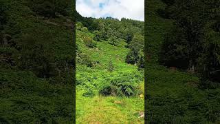 Powerscourt Waterfall County Wicklow Ireland [upl. by Esaele]