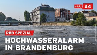 Brandenburg erwartet Hochwasser und steigende Pegel  rbb24 Spezial [upl. by Nylaroc]