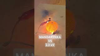 Mandarynka vs 23kV Trafo mikrofalówki [upl. by Annahsor56]