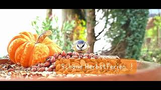 Schöne Herbstferien [upl. by Anigroeg]