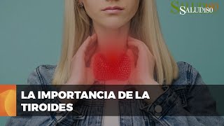 ✅ Entendiendo la función y los desórdenes de la GLÁNDULA TIROIDES  Salud180 🌿 [upl. by Eirrod737]