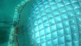 The original Underwater Bubble Room  full video [upl. by Suhpesoj]