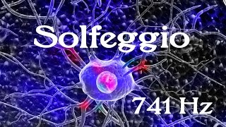 SOLFEGGIO Frequencies 741 Hz Said to help with Toxin Release Solving Problems Self Expression [upl. by Martino]