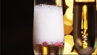 Pomegranate Champagne Cocktail Recipe [upl. by Rehpotsirk]