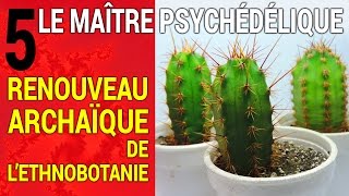 Maître Psychédélique 5  Renouveau archaïque de l’ethnobotanie [upl. by Etteyafal364]