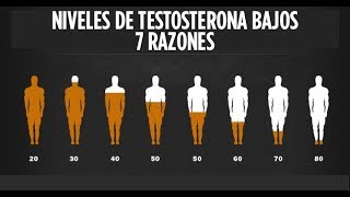 7 razones por las que tu testosterona puede estar baja [upl. by Einahets701]