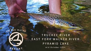 OntheWater Report  Truckee R  EF Walker R  Pyramid Lake  mid October 2024 [upl. by Kauppi]