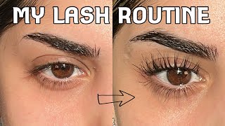 How I keep my straight lashes curled ALL DAY Includes my tiktok viral curling method [upl. by Jecho]