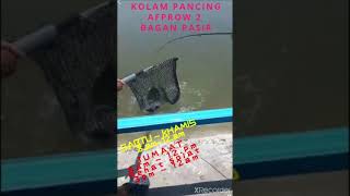 kolam pancing afprow bagan pasir tanjung karang [upl. by Hairahs]