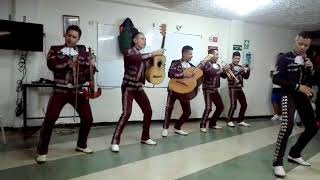 Mariachi Juveniles Show  Show de Zapateo  Mariachis Bogota [upl. by Nylegna]