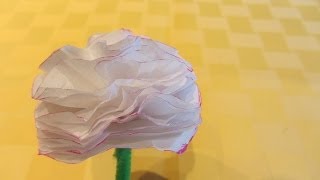 How to Make a Easy Carnation Tissue Paper Flower [upl. by Oicul10]