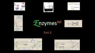 Enzymes 3 JM mov [upl. by Ryhpez831]