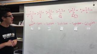 How to Connect Amino Acids to Make a Polypeptide [upl. by Neelac]