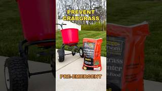 Prevent Crabgrass From Growing￼ lawn lawncare crabgrass shorts [upl. by Semadar]