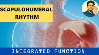 SCAPULOHUMERAL RHYTHM INTEGRATED FUNCTION AT SHOULDER COMPLEX Part1 [upl. by Ecneps]