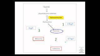 umh1399 Lec0014a Hiperproductores [upl. by Mckale678]