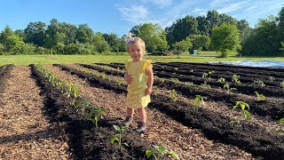 The START To An ABUNDANCE of FOOD  Planting Our 2024 Garden [upl. by Noid963]