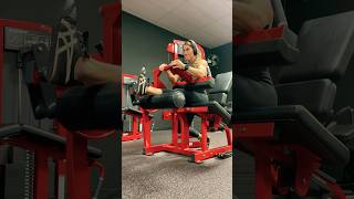 Single Leg Seated Hamstring Curl StretchStrength [upl. by Bret]